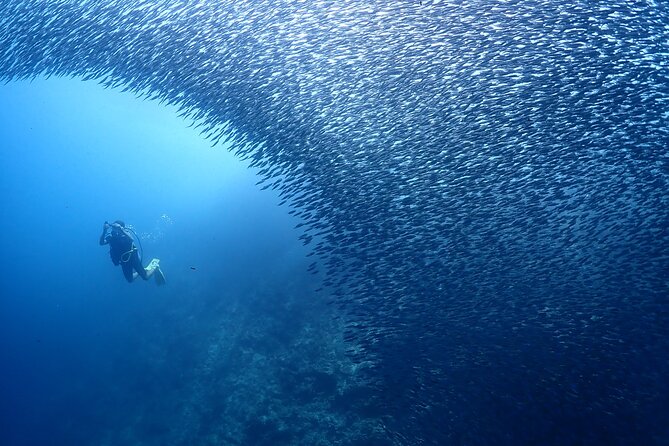 Cebu: Scuba Diving Experience Beach Entry in Mactan - Customer Reviews and Experiences