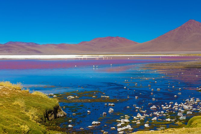 Cejar Lagoon, Tebinquiche Tour, and Ojos Del Salar From San Pedro De Atacama - Sunset at Tebenquiche Lagoon