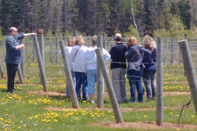 Central PEI Winery, Apiary and Mead Tasting Tour - Booking Information