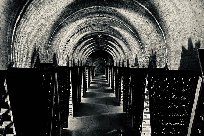 Champagne Cellars & Vineyards Tour From Reims Full Day - Reviews and Feedback