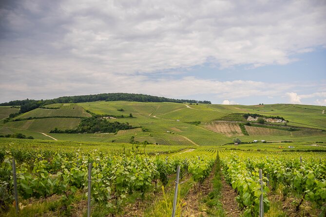 Champagne Experience With a Vintage Van From Epernay - 3 Hours - Authentic Small Groups
