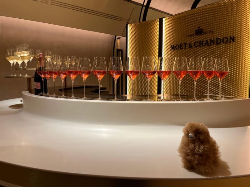 Champagne Private Day Trip: Epernay & Reims 9 Glasses - Family Champagne Producer Visit