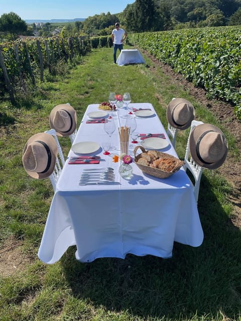 Champagne Vineyards Picnic (With Transportation) - Traditional Grape Pickers Lunch