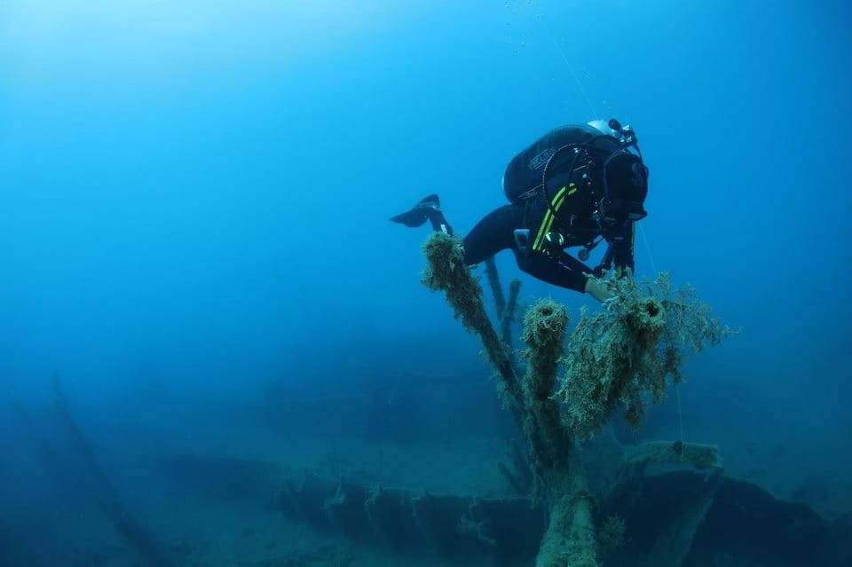 Chania: 2 Boat Dives for Certified Divers - Customer Feedback