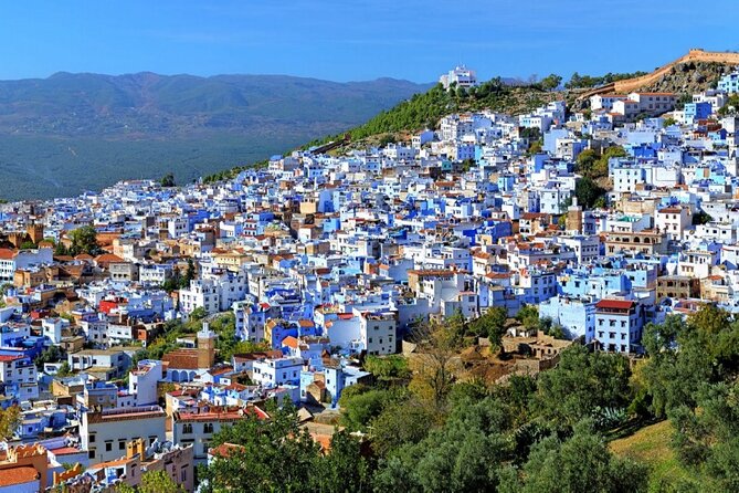 Chefchaouen the Blue City Full-Day Trip From Casablanca - Traveler Experiences and Ratings