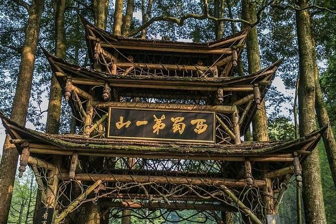 Chengdu Private Day Tour: Du Jiang Yan Panda Base and Qingcheng Mountain - Tour Inclusions and Logistics