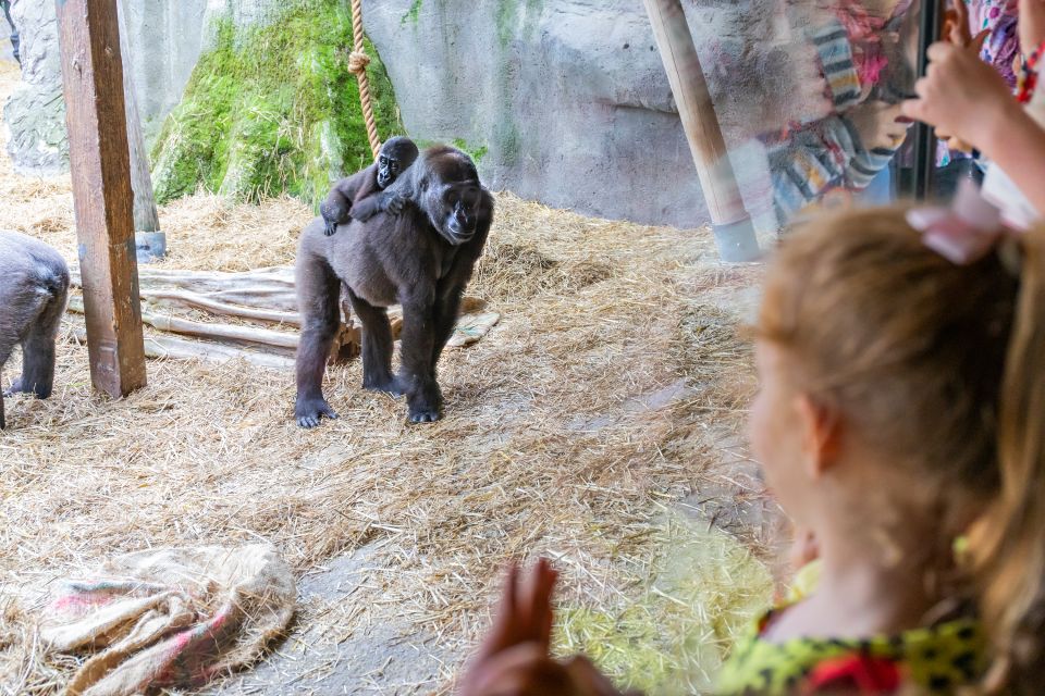 Chessington World of Adventures Resort: Entrance Ticket - Themed Lands and Attractions