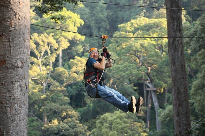 Chiang Mai Zip Line Experience - Scenic Highlights of the Tour