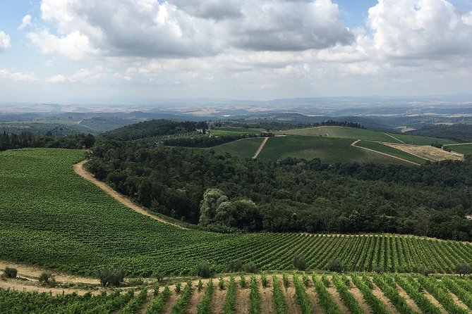 Chianti Classico E-Bike Tour - Additional Information