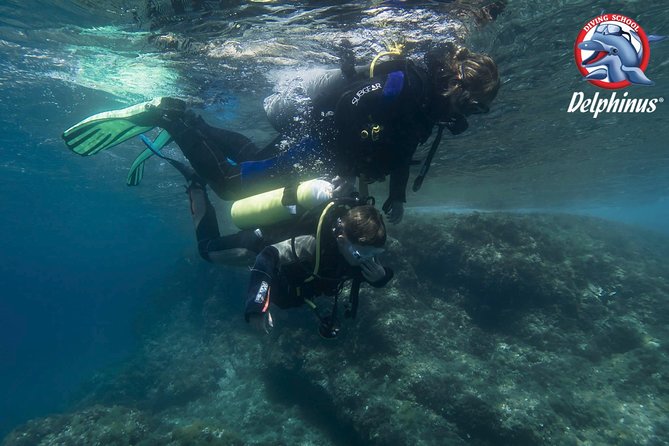 Childrens PADI Diving Experience in Gran Canaria - Participants Qualifications and Abilities