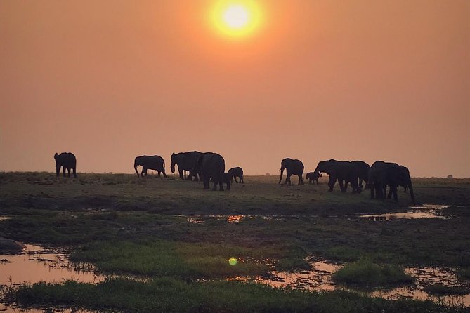 Chobe 3hr Sunset Boat Cruise - Experience Highlights and Inclusions