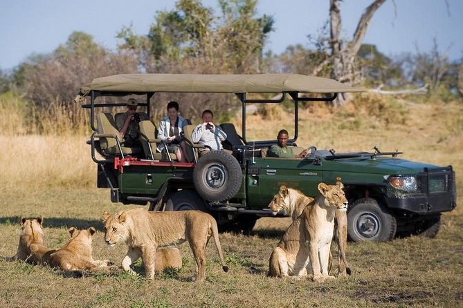 Chobe Full Day Trip From Victoria Falls - Transportation and Logistics
