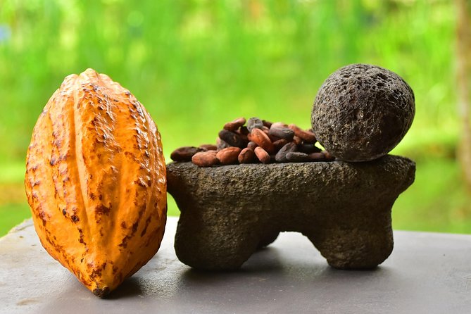 Chocolate Experience - Positive Customer Reviews