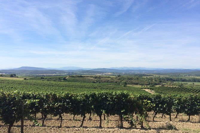 Cité De Carcassonne and Wine Tasting Private Day Tour From Toulouse - Tour Inclusions and Exclusions