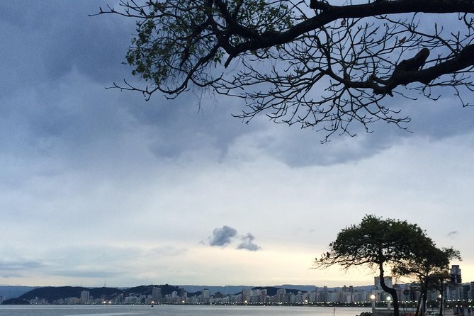 City Tour in Santos - History, Traditions and Culture - Customizing Your Tour Experience
