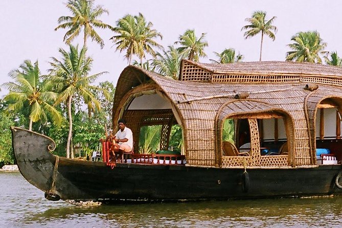 Cochin (Kochi) Shore Excursions From Cruise Terminal Ships Pier - Customer Reviews and Insights