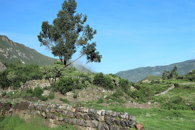 Colca Canyon / 2 Day 1 Night Trek - Day 2: Sangalle to Arequipa