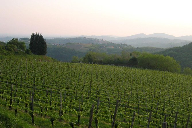 Collio: Cividale Del Friuli and Wine Tastings From Trieste - Pricing and Cancellation Policy