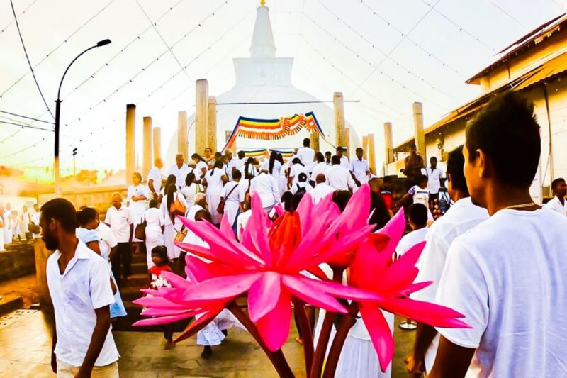 Colombo: 8-Day Private Cultural Triangle & Wildlife Trip - Wilpattu National Park