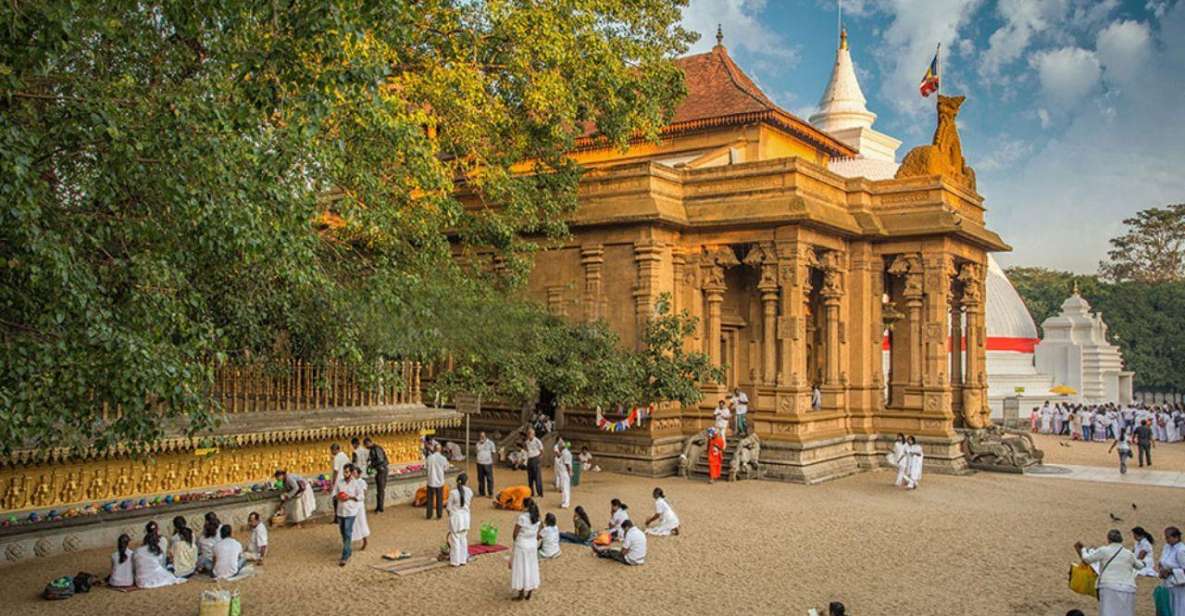 Colombo: Countryside Temple Trail by Tuk-Tuk or Car - Pricing and Cancellation