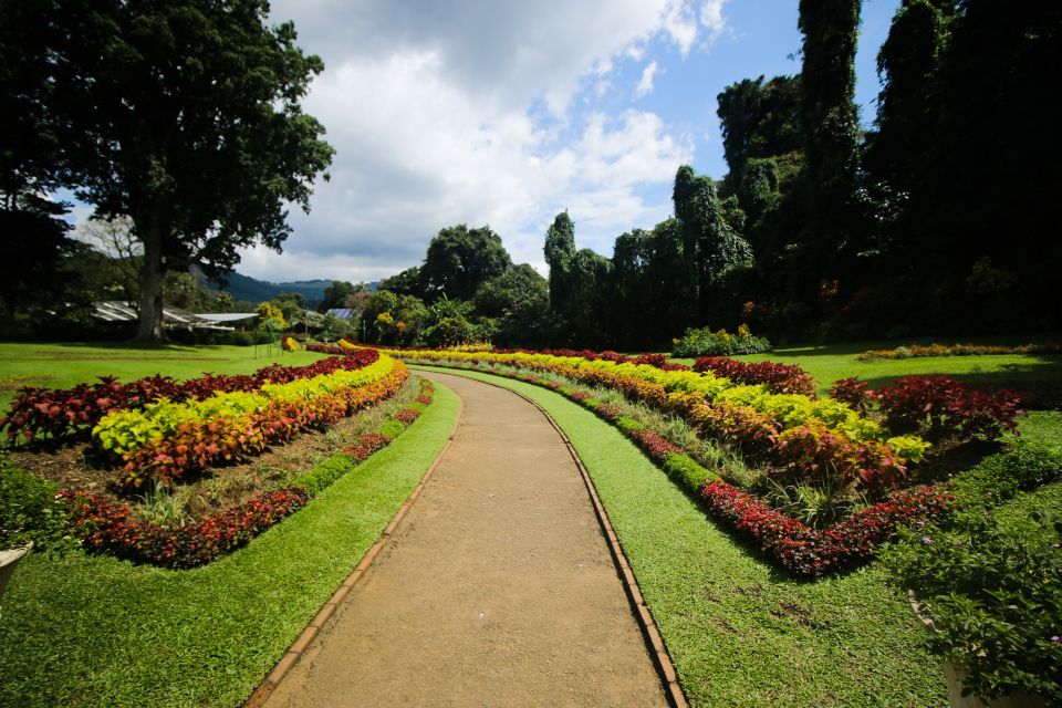 Colombo or Negombo: Temple of the Tooth Kandy Day Trip - Participant Information