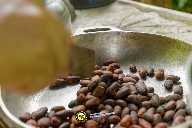 Combo 3: Manuel Antonio Park Tour & Chocolate Tour - Local Traditions