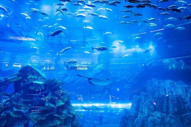 Combo Dubai Mall Aquarium + Skyview Observatory Tickets - Accessibility and Accommodations