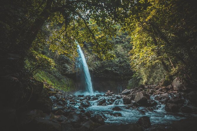 Combo Jungle, Volcano Hike, Fortuna Waterfall, Hanging Bridges & Hotsprings - Free Cancellation Policy