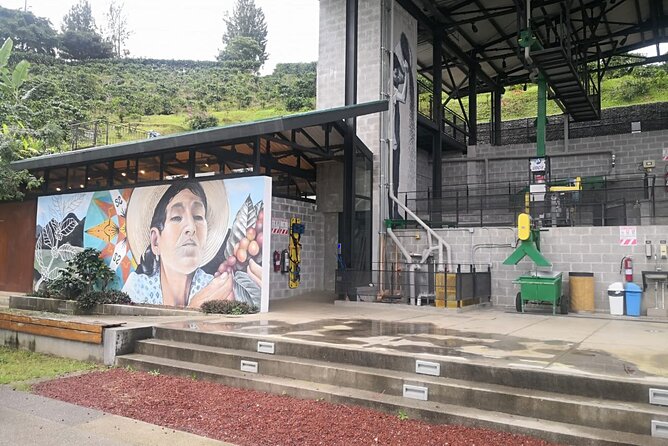 Combo Tour Poas Volcano and La Paz Waterfall and Coffee Tour - Traveler Reviews and Feedback