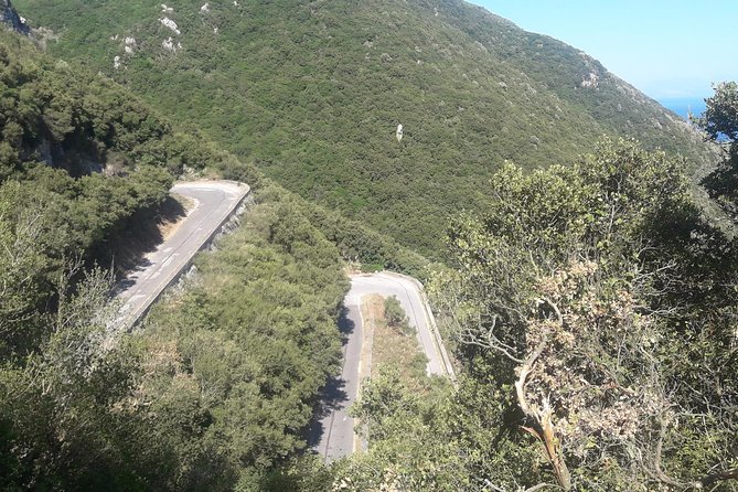Corfu by Bike: Countryside, Forests and Villages - Pricing and Cancellation Policy