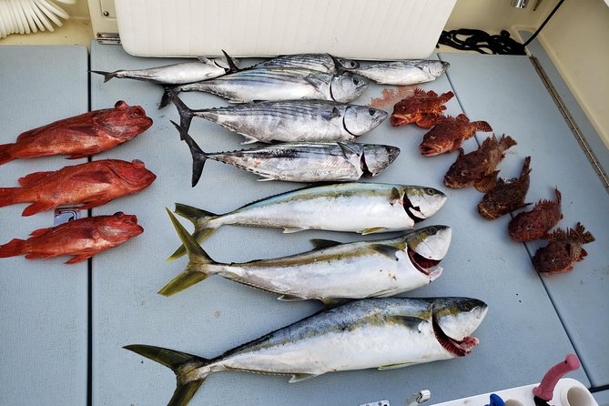 Coronado Islands 12 Hour Fishing Trip for up to 4 People - Health and Safety
