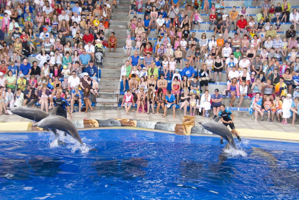 Costa Adeje: Aqualand Water Park Ticket With Dolphin Show - Accessibility and Amenities