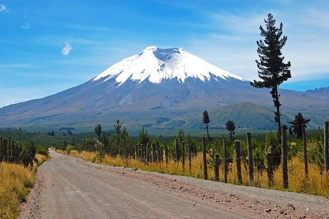 Cotopaxi Volcano From Quito - Private Tours - Rucu Pichincha Mountain Perspective