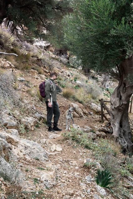 Crete: Platanion Gorge Hiking Tour With Traditional Lunch - Inclusions and Exclusions