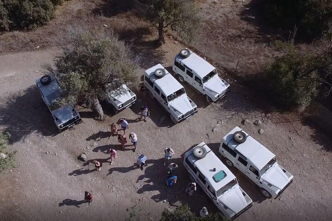 Cruise and 4X4 Safari Tour at Akamas Peninsula From Limassol - What to Bring