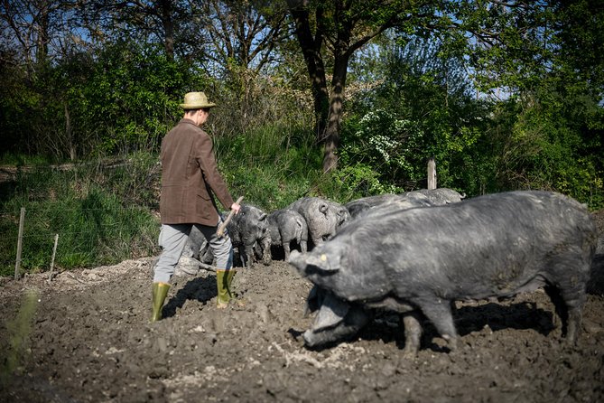 Culatello of Zibello Private Tour With Lunch and Farm Visit - Health and Safety Measures