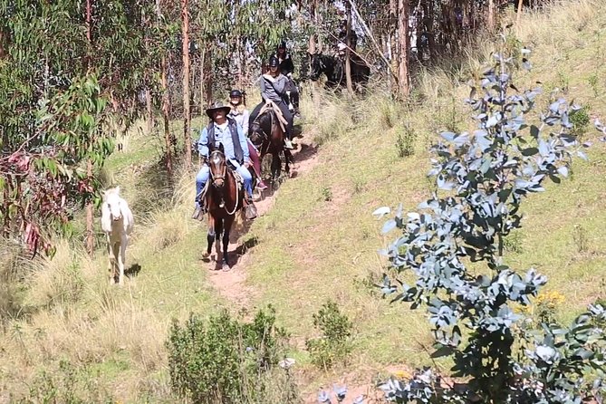 Cusco Day Tour Horse Riding Mystic Tour Full Service The Most Recommended - Health and Safety