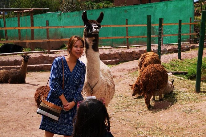 Cusco Sanctuary for Rescued Animals: Cochahuasi - Pricing and Booking Information