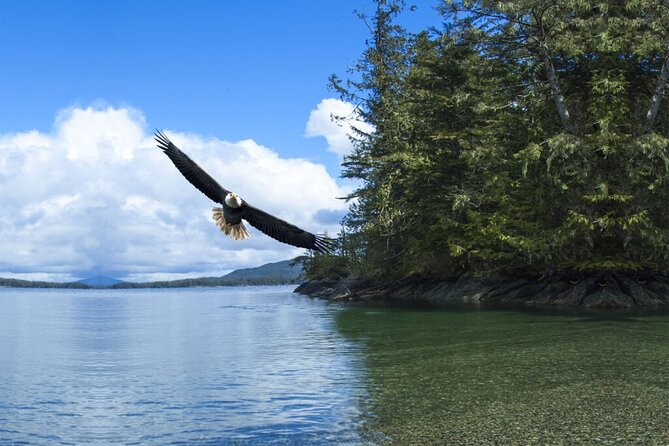 Customizable Private Tour in Ketchikan With Pick up - Customization Opportunities