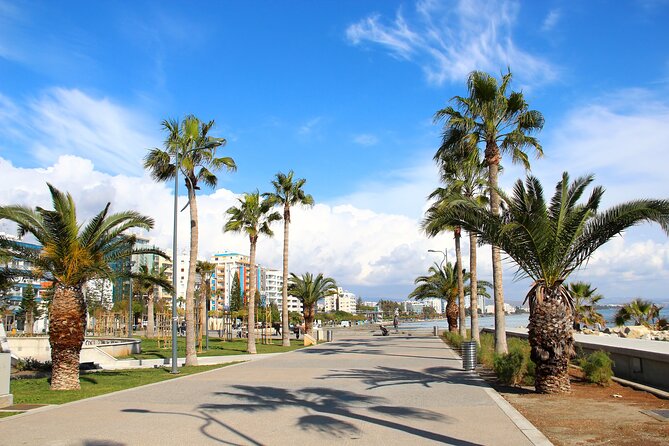 Cyprus'S History and Charm Full-Day Private Tour From Paphos - Reviews and Feedback