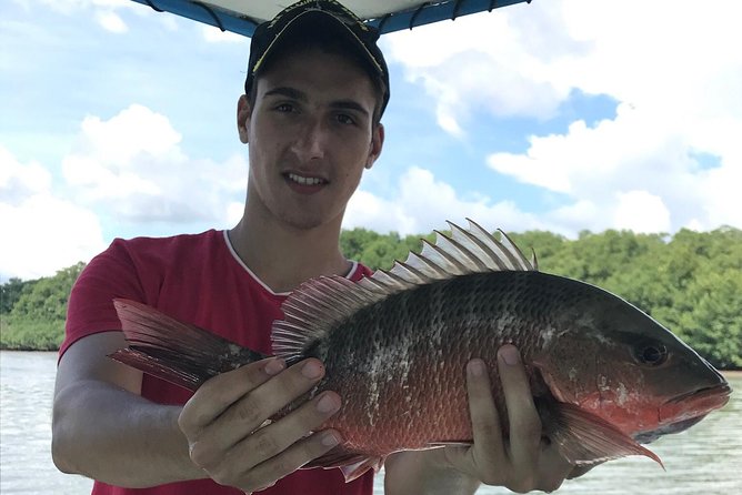Damas Island Mangrove Fishing Tour From Manuel Antonio - Diverse Marine Life