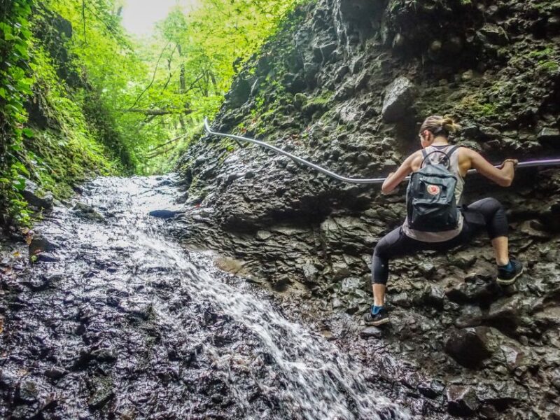 Danube Bend: Full-Day Hiking Tour From Budapest - Physical Requirements