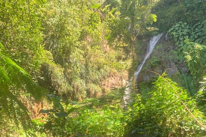 Dark View Falls Private Tour - Booking and Confirmation