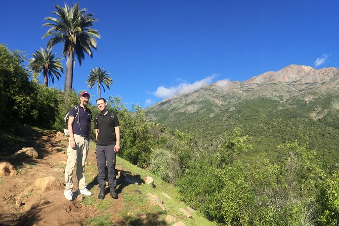 Darwins Route: Traversing the Chilean Palm Forest - Positive Reviews and Ratings