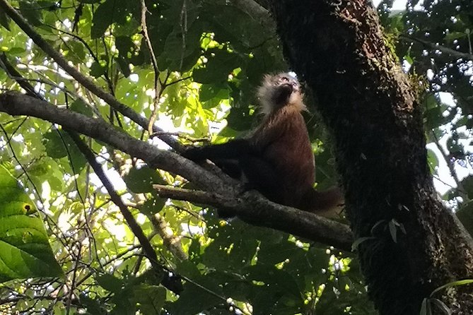 Day Hike in the National Park - Wildlife Sightings