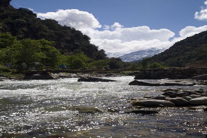 Day on the Ourika Valley From Marrakech - Guest Reviews