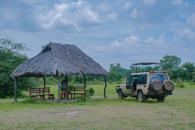 Day Safari Tour to Selous Game Reserve From Zanzibar - Traveler Experiences