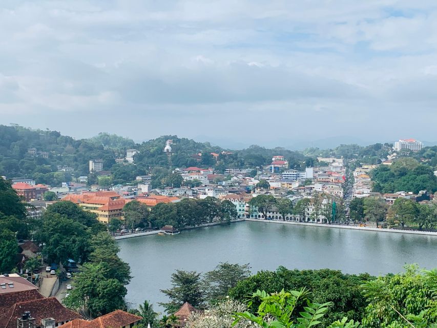 Day Tour in Awesome Kandy City From Colombo - Inclusions and Important Information