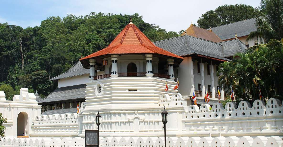 Day Tour of Kandy by Tuktuk With Free Lunch and Entry - Included Features