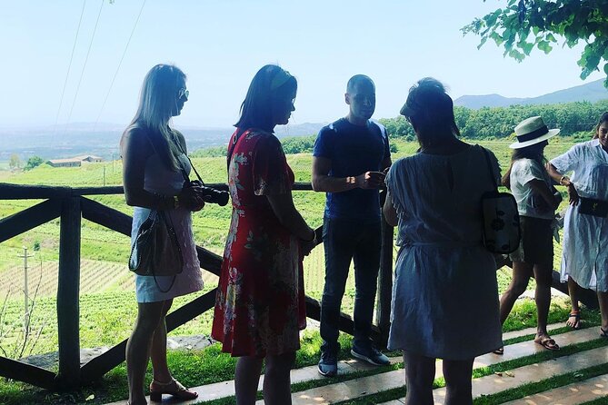 Day Tour Parmigiano, Ferrari Museum, Balsamic, Lambrusco, Lunch With Transfer - Parmigiano Reggiano Dairy Farm